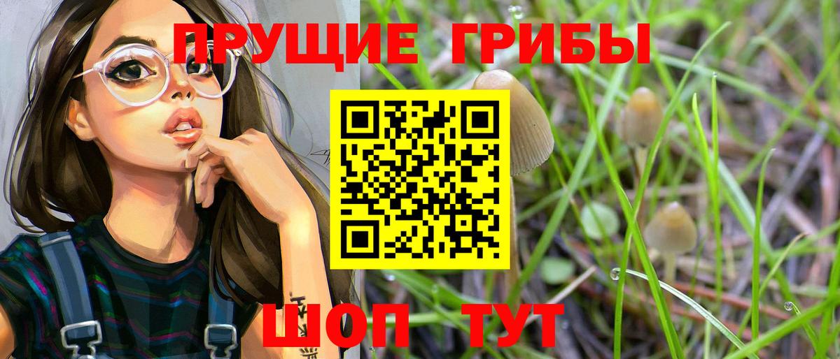 Галлюциногенные грибы Cubensis  Галлюциногенные грибы MAGIC MUSHROOMS  Вход с VPN  Гусиноозёрск 